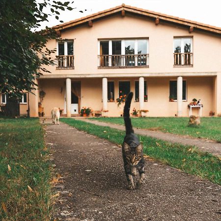 Casa De Campo La Solana Estollo Eksteriør billede