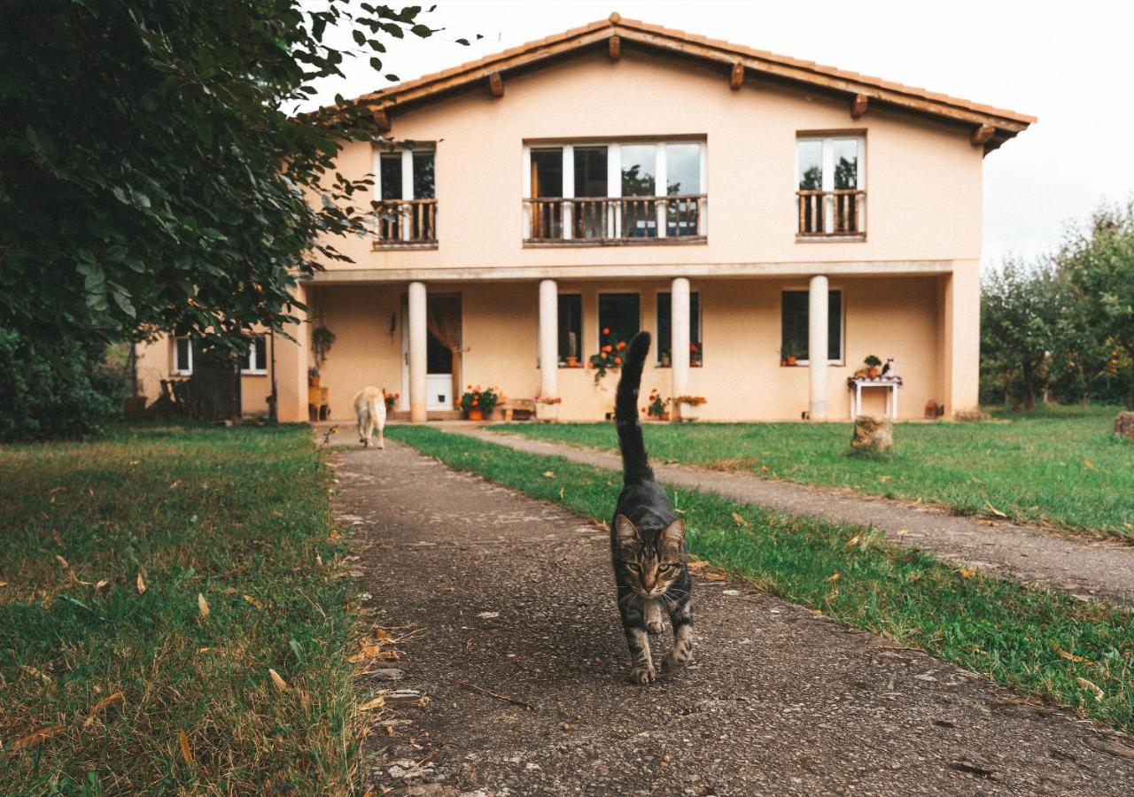 Casa De Campo La Solana Estollo Eksteriør billede
