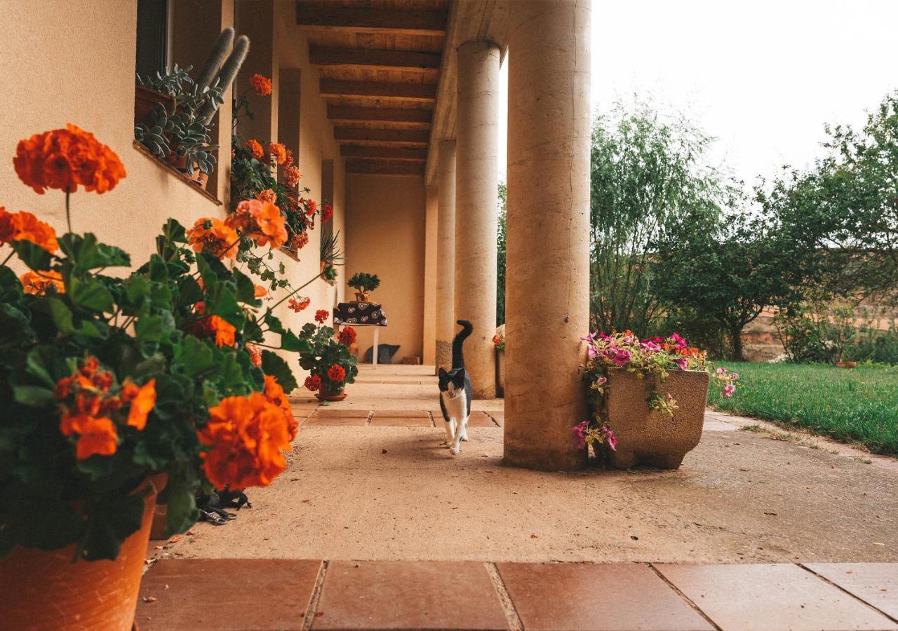 Casa De Campo La Solana Estollo Eksteriør billede